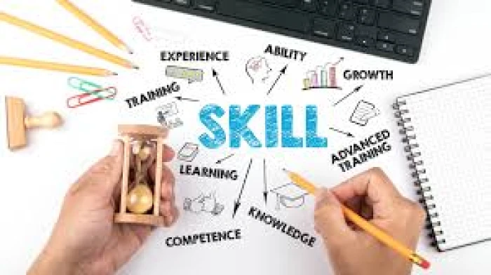 Skill Development Institute
